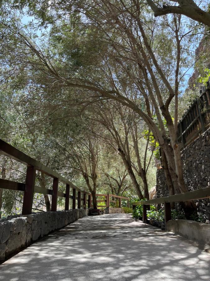 Penzion Casa Rural Guayadeque Ca'Juani Ingenio Exteriér fotografie