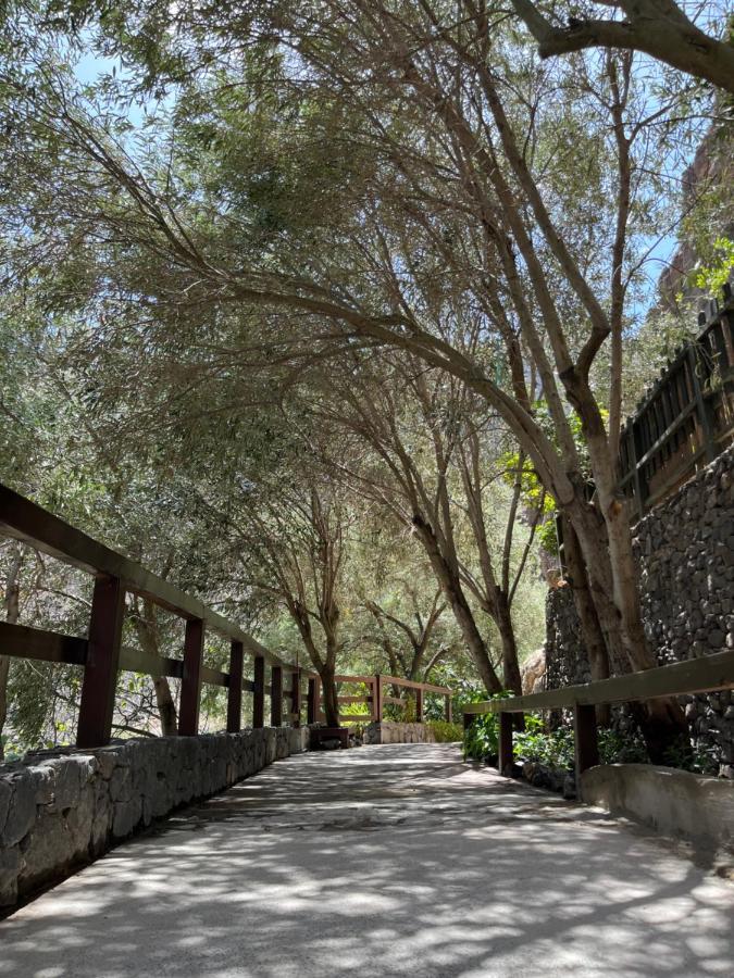 Casa Rural Guayadeque Ca'Juani Ingenio Exteriér fotografie